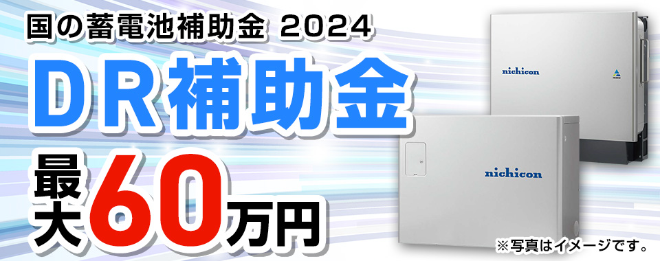 DR補助金2024